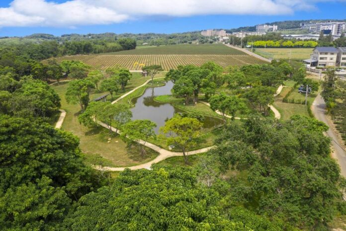 八甲茶文化園區結合科技農業及景觀休憩功能，榮獲建築園冶獎等多獎項讚賞。（圖/水土保持局）