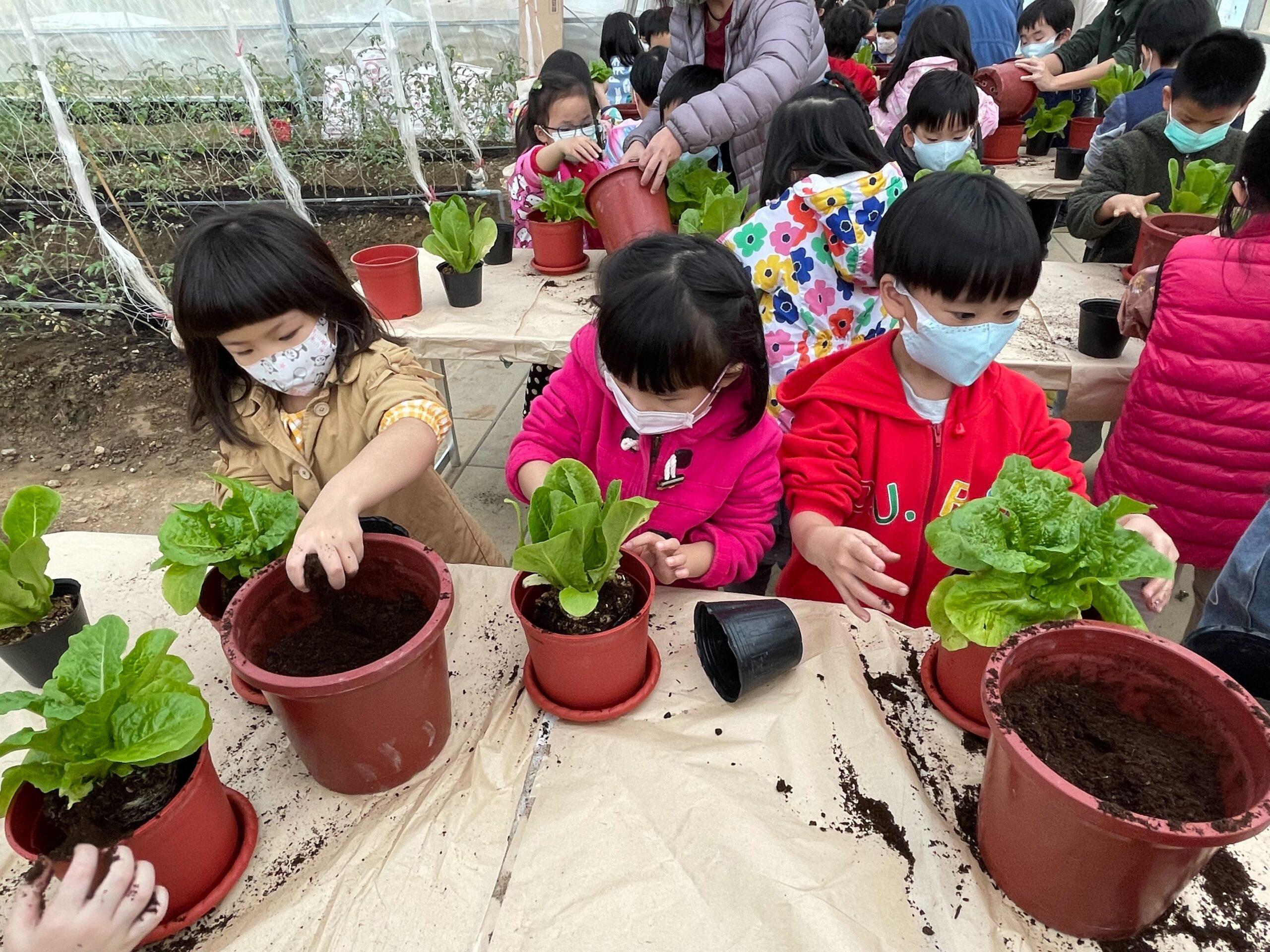 關渡轉作食農基地 邀市民免費體驗種植菜盆