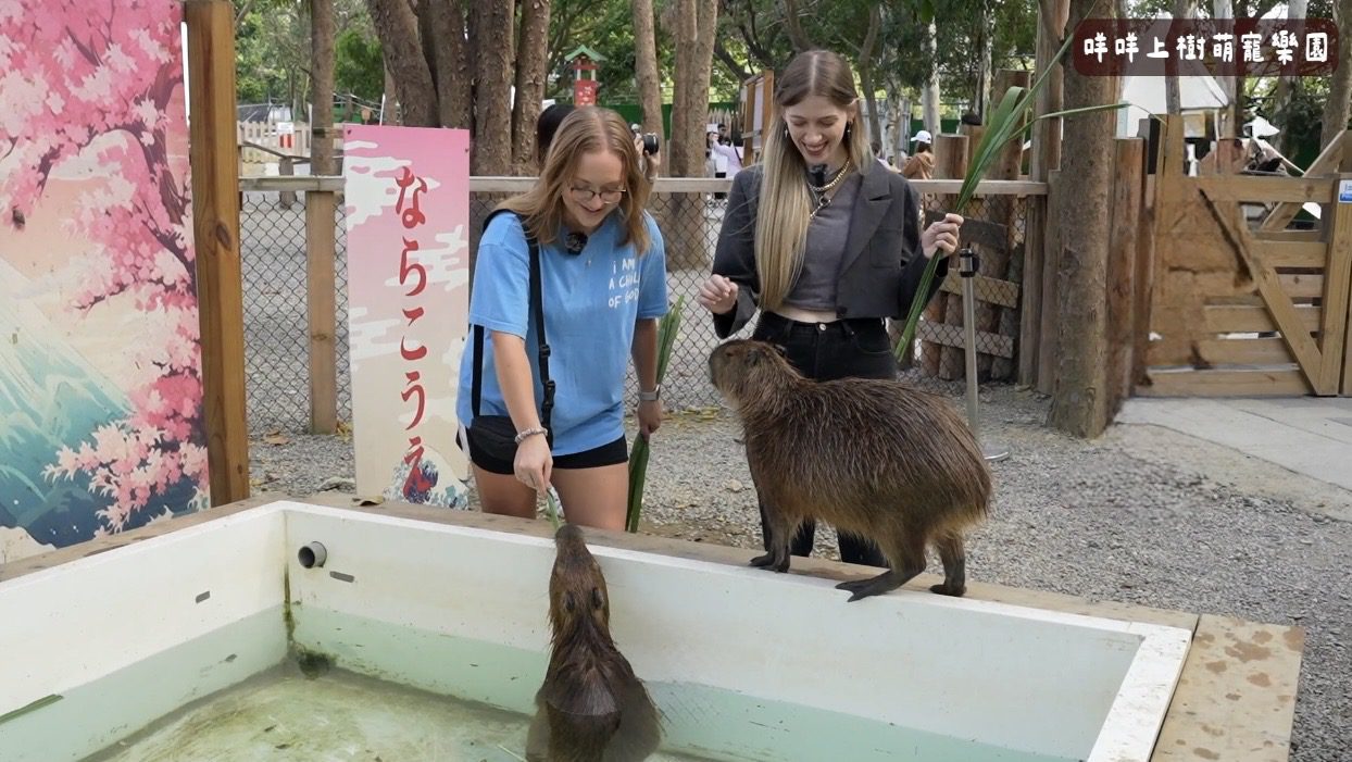 國外網紅深度體驗獨嘉魅力　推廣嘉義豐富旅遊資源