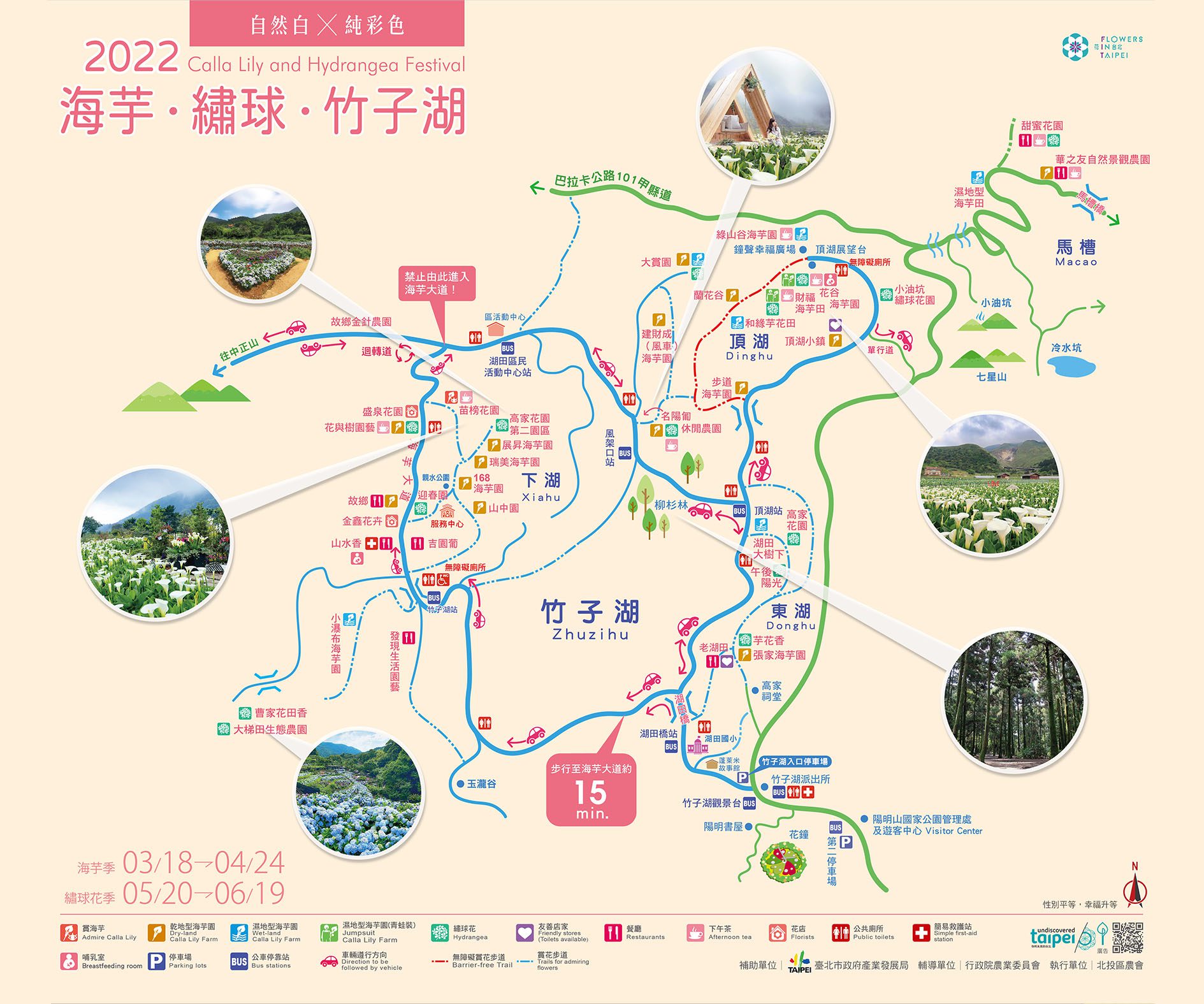 繡球花季走讀竹子湖全程免費 百貨旅宿限時優惠中