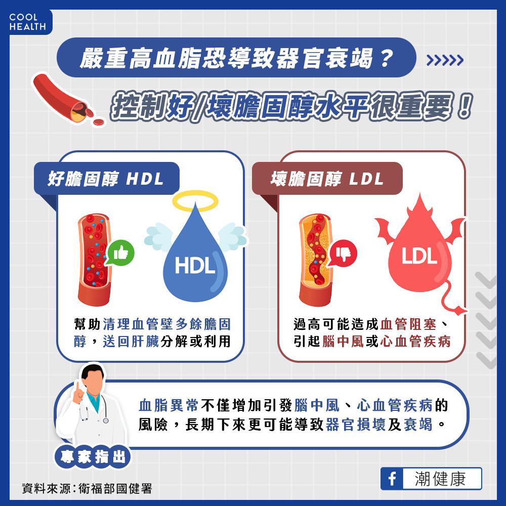 高血脂會引起器官衰竭？ HDL、LDL怎麼區分？