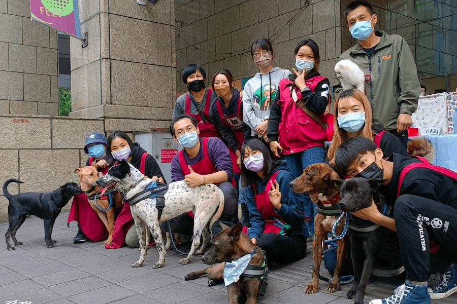 「女力崛起」新北動保員展現女力    活潑個性一年送養85隻犬貓