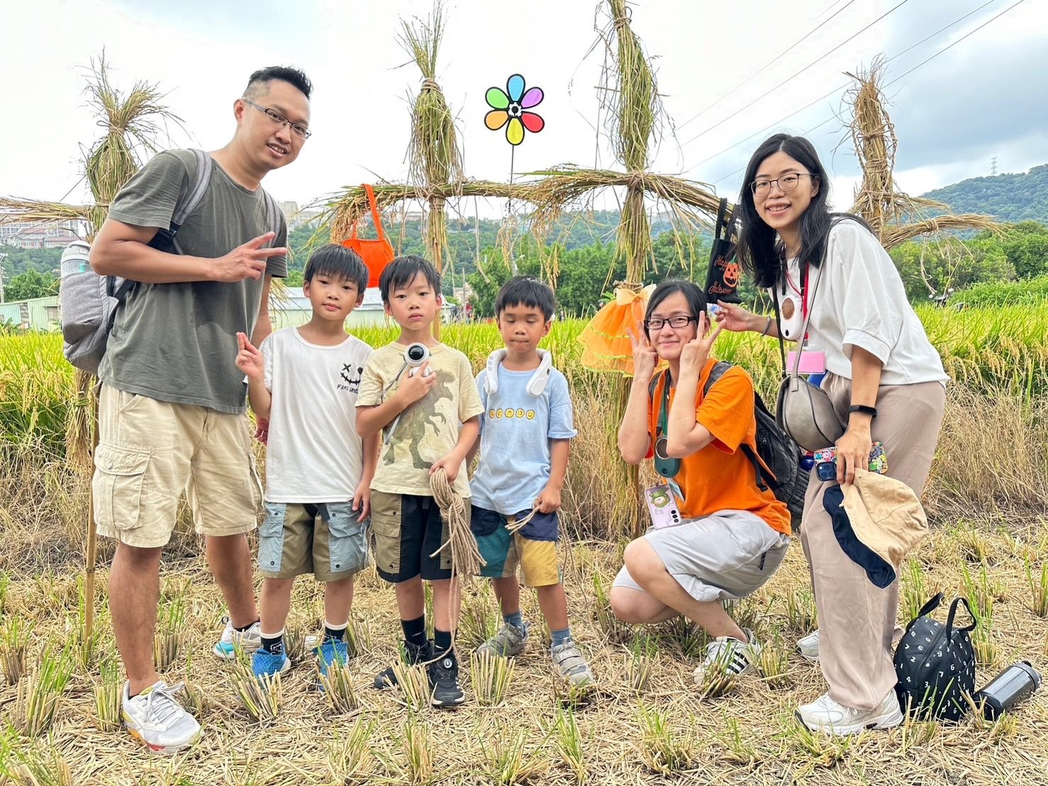 捷運線的夏日稻浪巡禮 北投割稻7/22日登場