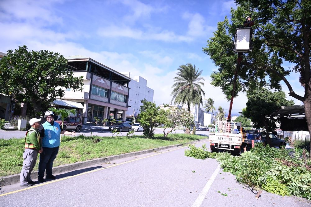 因應康芮颱風來襲 花市樹木瘦身保平安