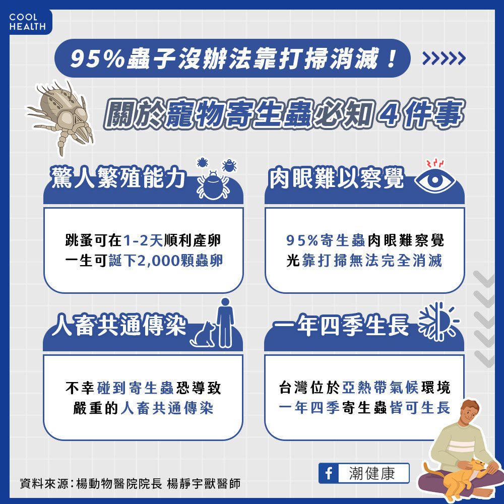 95%蟲子沒辦法靠打掃消滅！ 不積極驅蟲恐引起人畜共通傳染