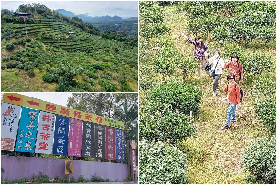 秋之旅∕日月潭香茶巷　茶香滿山谷