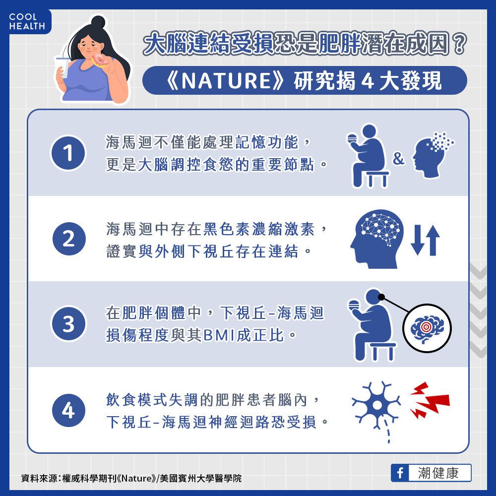 肥胖者「管不住嘴」真實原因？ 權威期刊《NATURE》研究揭4大發現