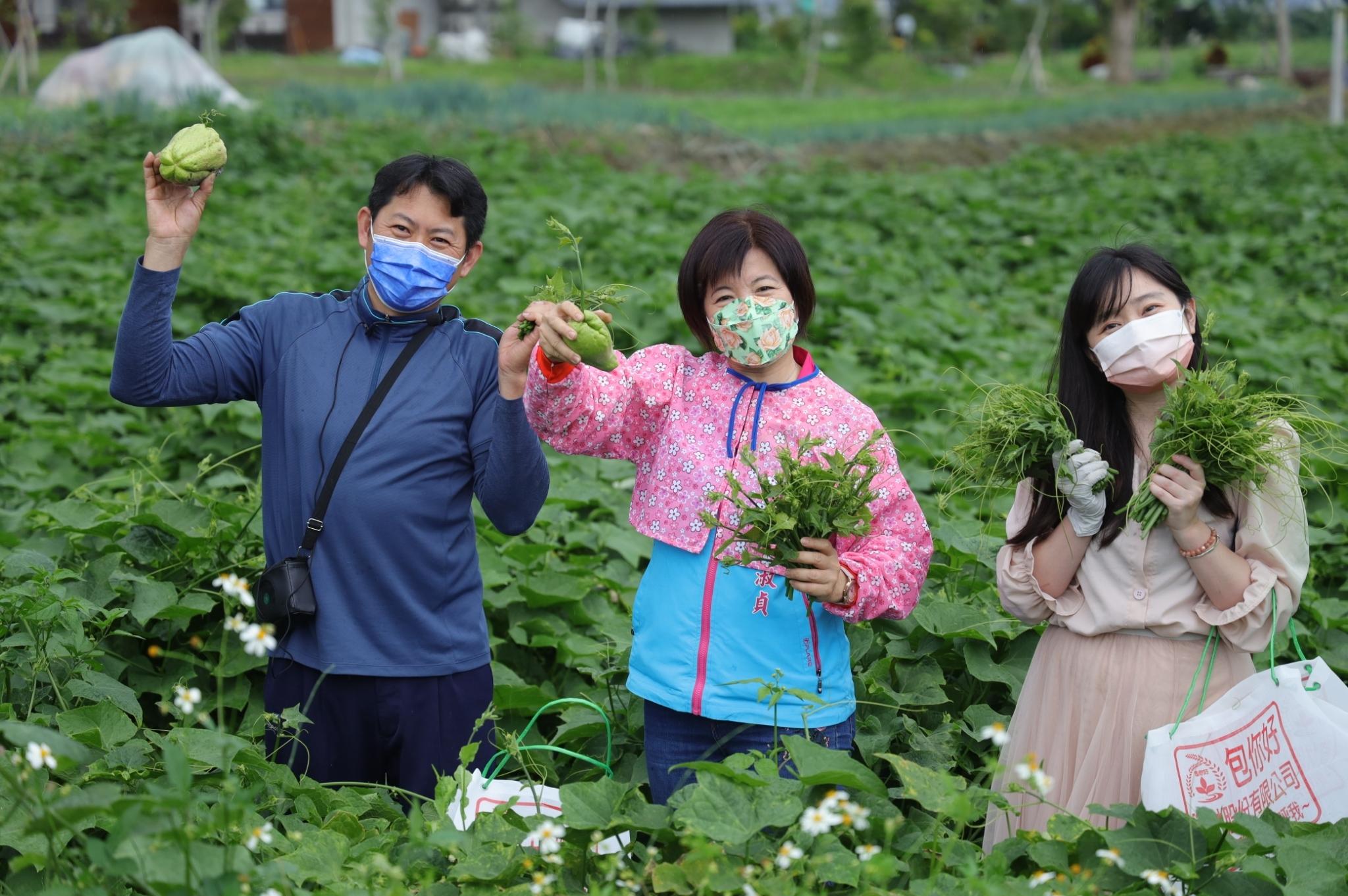 吉安桐花小旅行 不群聚享受田園趣