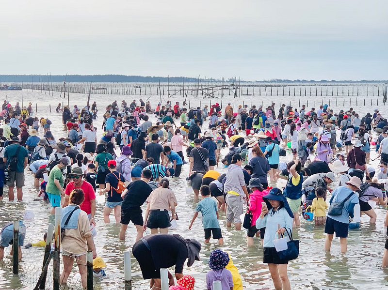 2024臺南七股海鮮節周六開跑 憑紙本票券入場體驗 歡迎搭乘免費接駁車