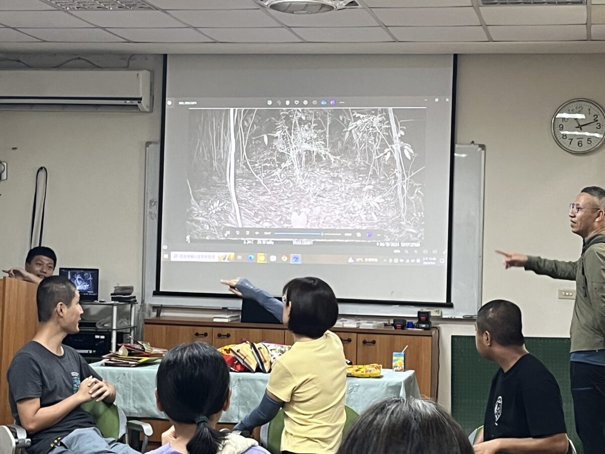 林保署二水生態教育館拍攝到石虎活動　成為野生動物保育推動基地