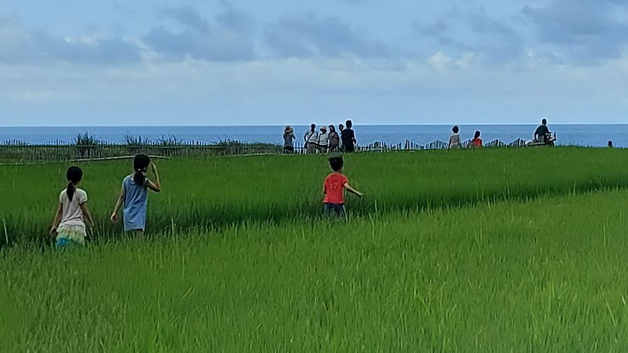 後山小調∕走一段田埂路看看海梯田