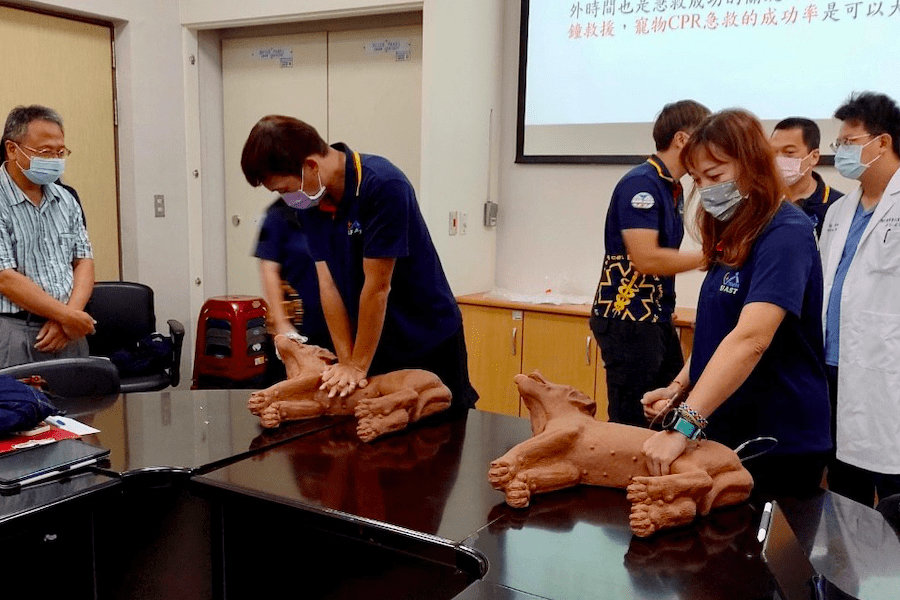 寵物急救大揭密     新北市政府授證600人     飼主學寵物CPR     保護毛孩生命