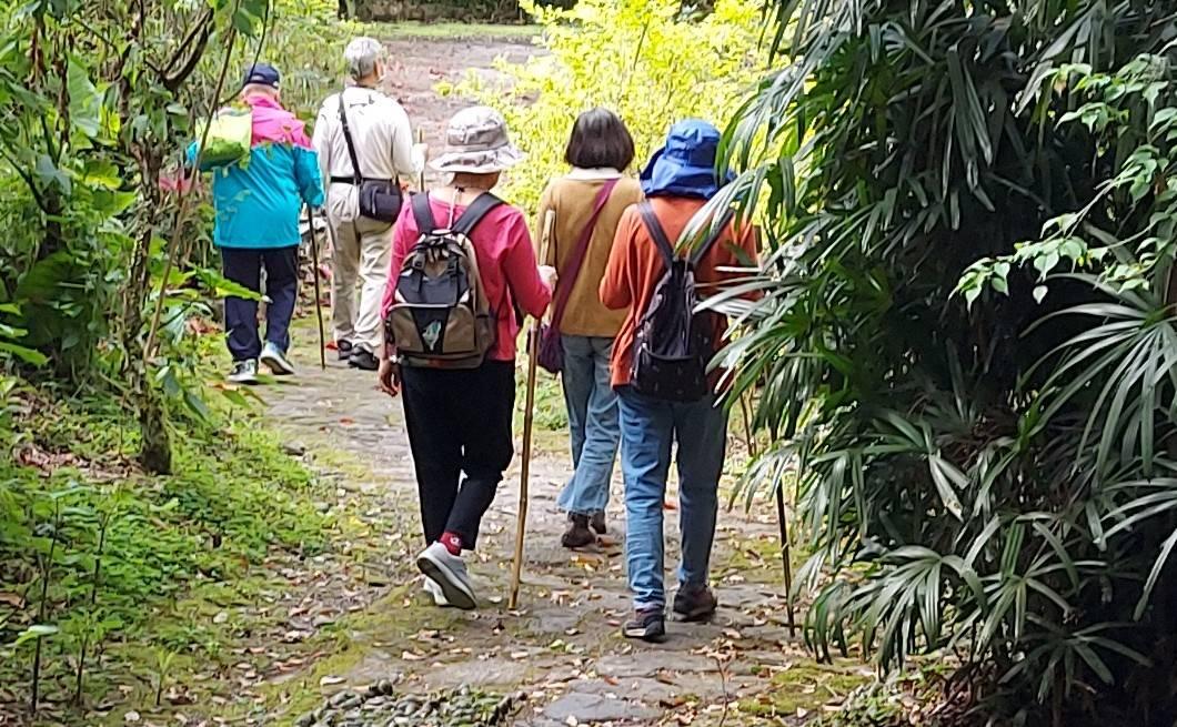 後山小調∕健行登山宜拄杖